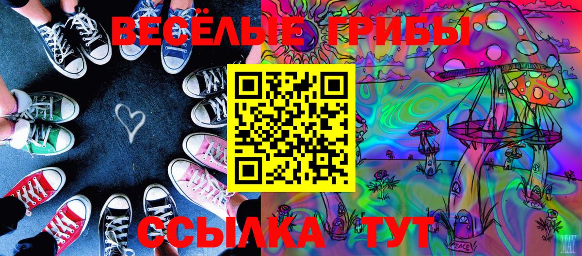 Псилоцибиновые грибы Cubensis  Вход с VPN  Москва 