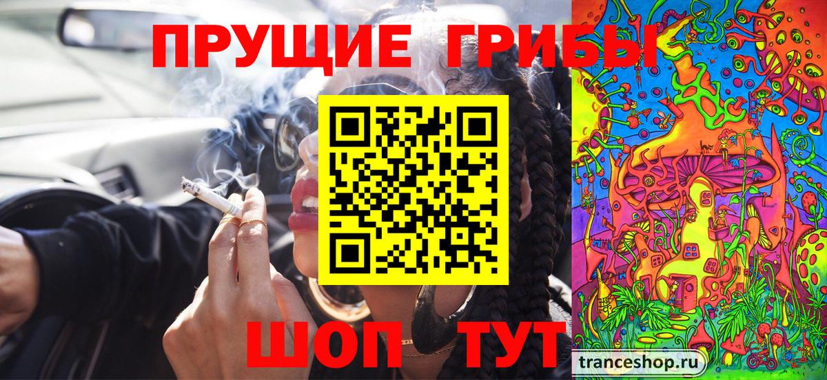 Псилоцибиновые грибы Magic Shrooms Москва